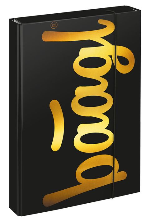 BAAGL - Dosare pentru caiete școlare A4 Jumbo Gold