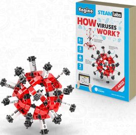 ENGINO - Cum funcționează virușii?
