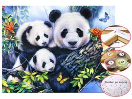 IMPAP - Canvas 30 x 40 cm pictură cu numere - Pandas