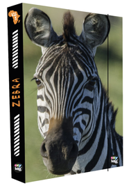 KARTON PP - Cutie de caiet A4 Zebra
