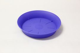 PROSPERPLAST - Tavă de plastic, albastru