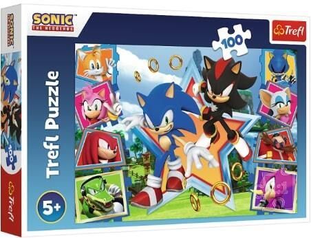 TREFL -  Puzzle 100 piese - Faceți cunoștință cu Sonic / SEGA Sonic The Headgehog