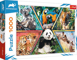 TREFL - Puzzle 1000 - Regatul animal