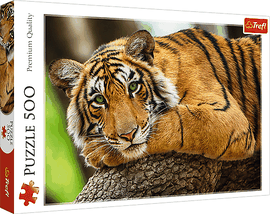 TREFL - Puzzle 500 - Portretul unui tigru