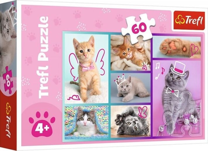 TREFL - Puzzle 60 - Pisici drăguțe / Trefl