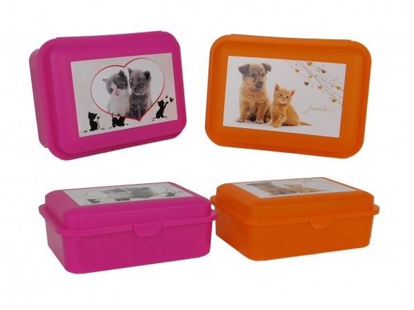 TVAR - Cutie colorată pentru câini si pisici de duzină, Mix de culori